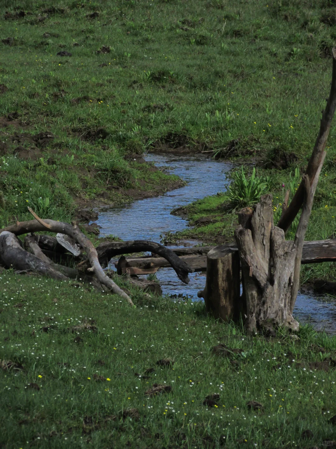 普达措｜轻松美丽，国家公园就是我的信仰