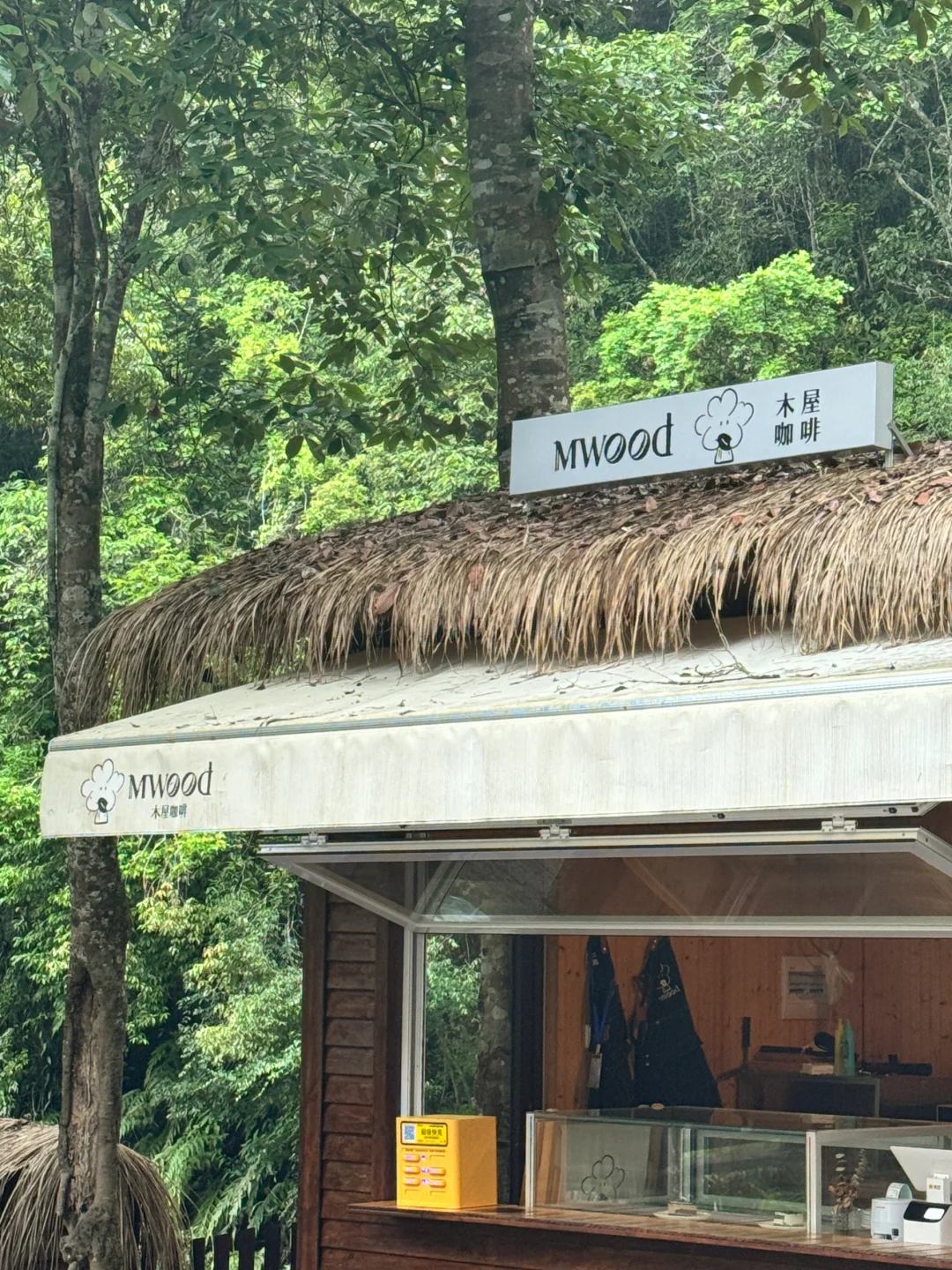 救命！福州山里18℃天然空调房！夏天巨爽❄️