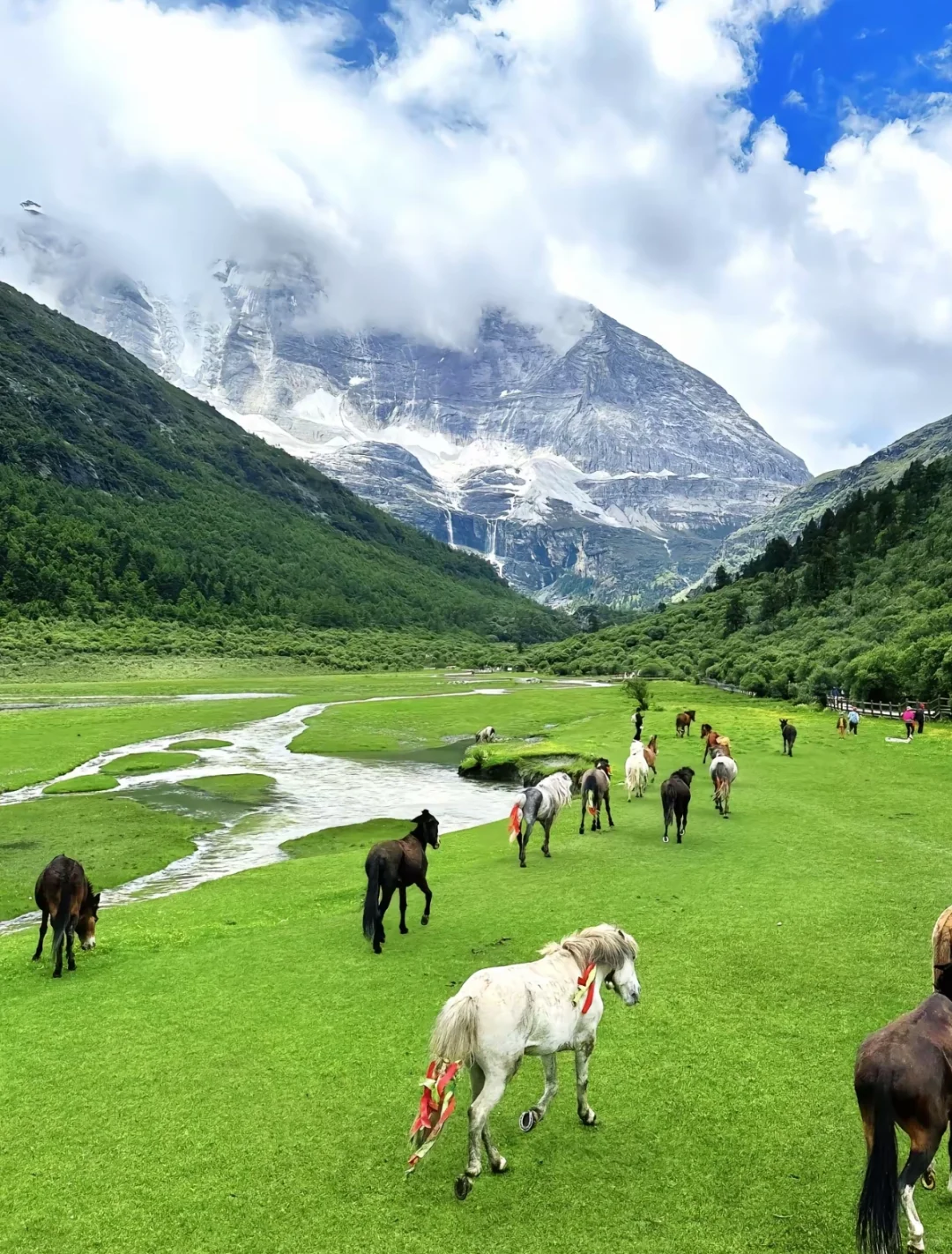 一定要和最爱的人去一次稻城亚丁