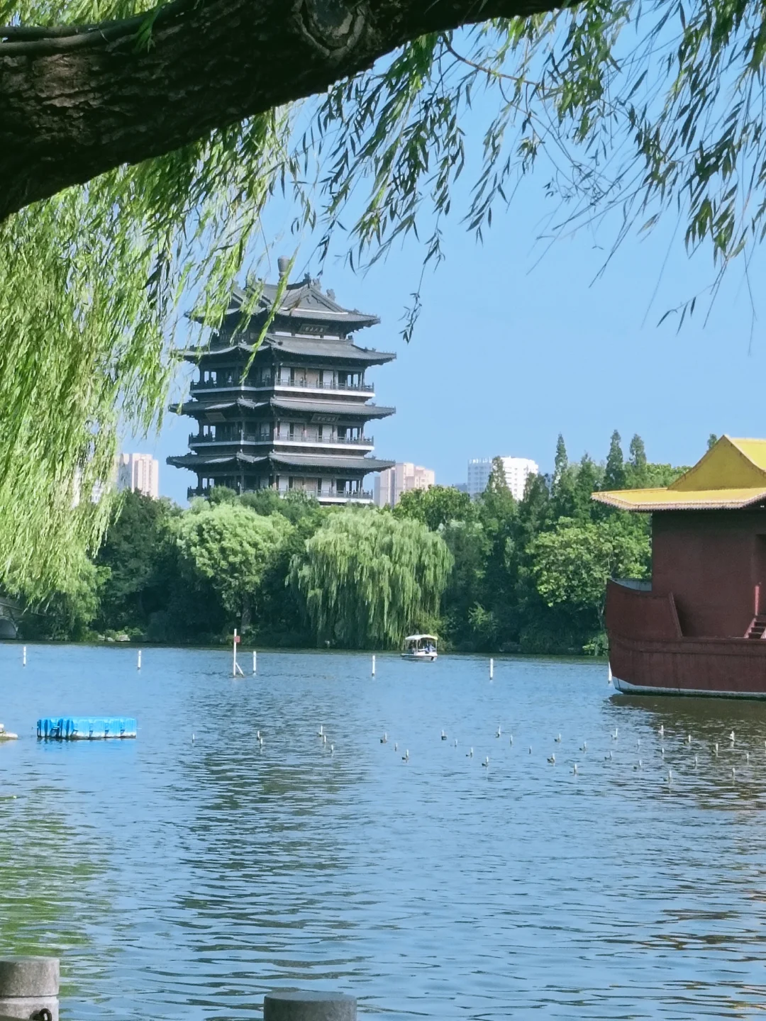 旅行方式大比拼