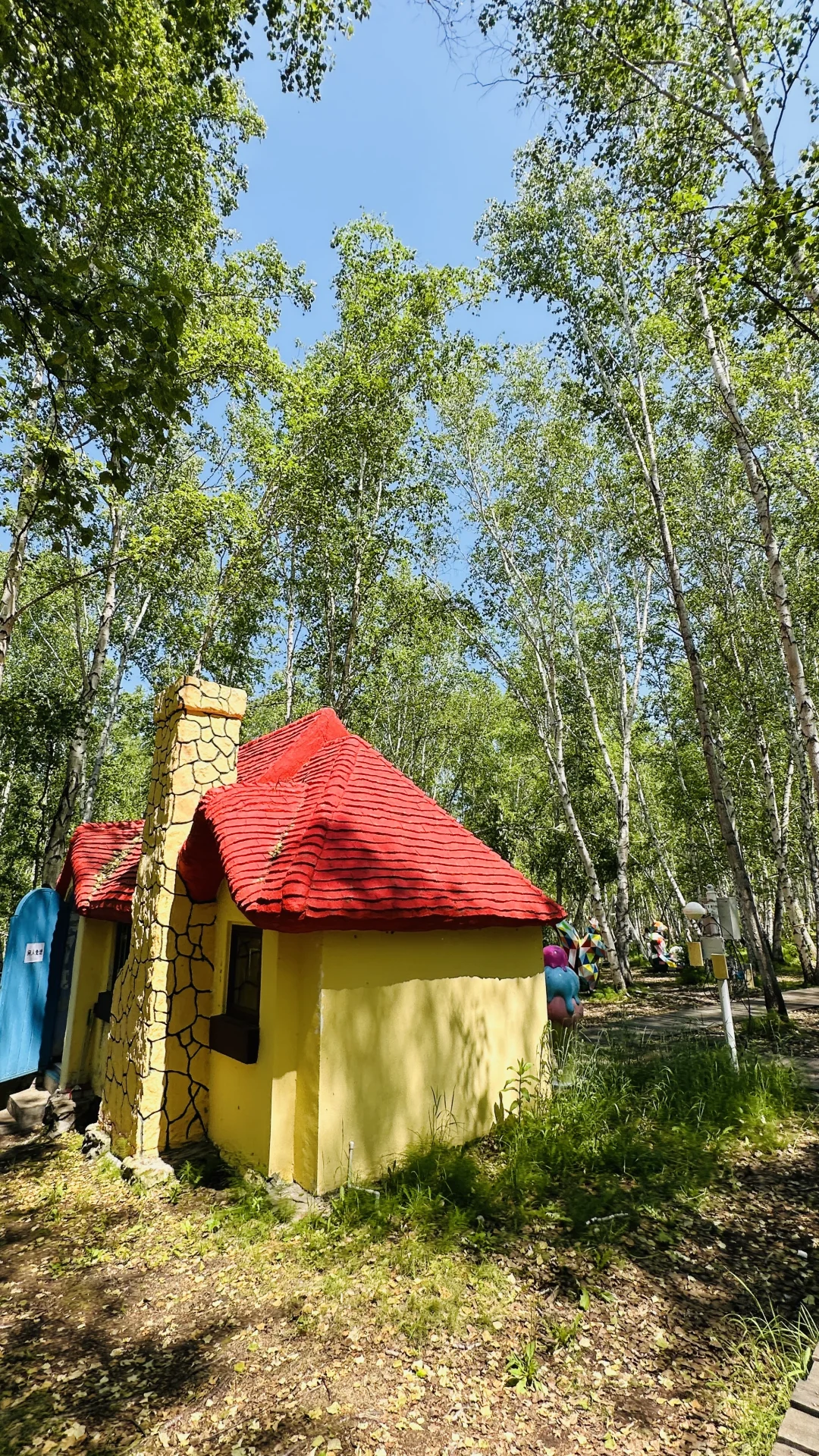 额尔古纳白桦林