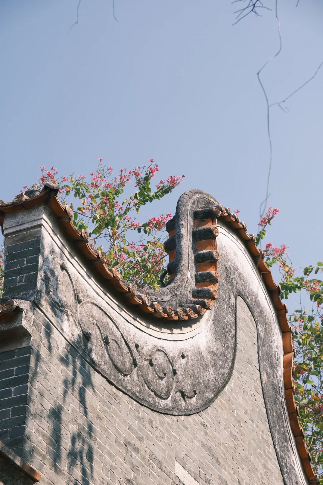 广州顺德+潮汕9日攻略(租车带父母版)