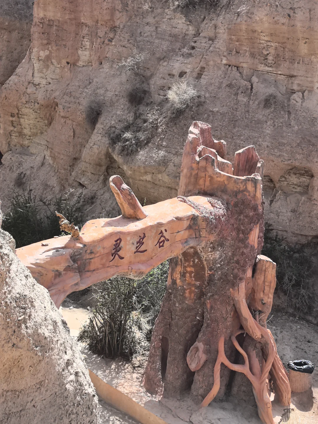 救命！这峡谷美到我走不动路！