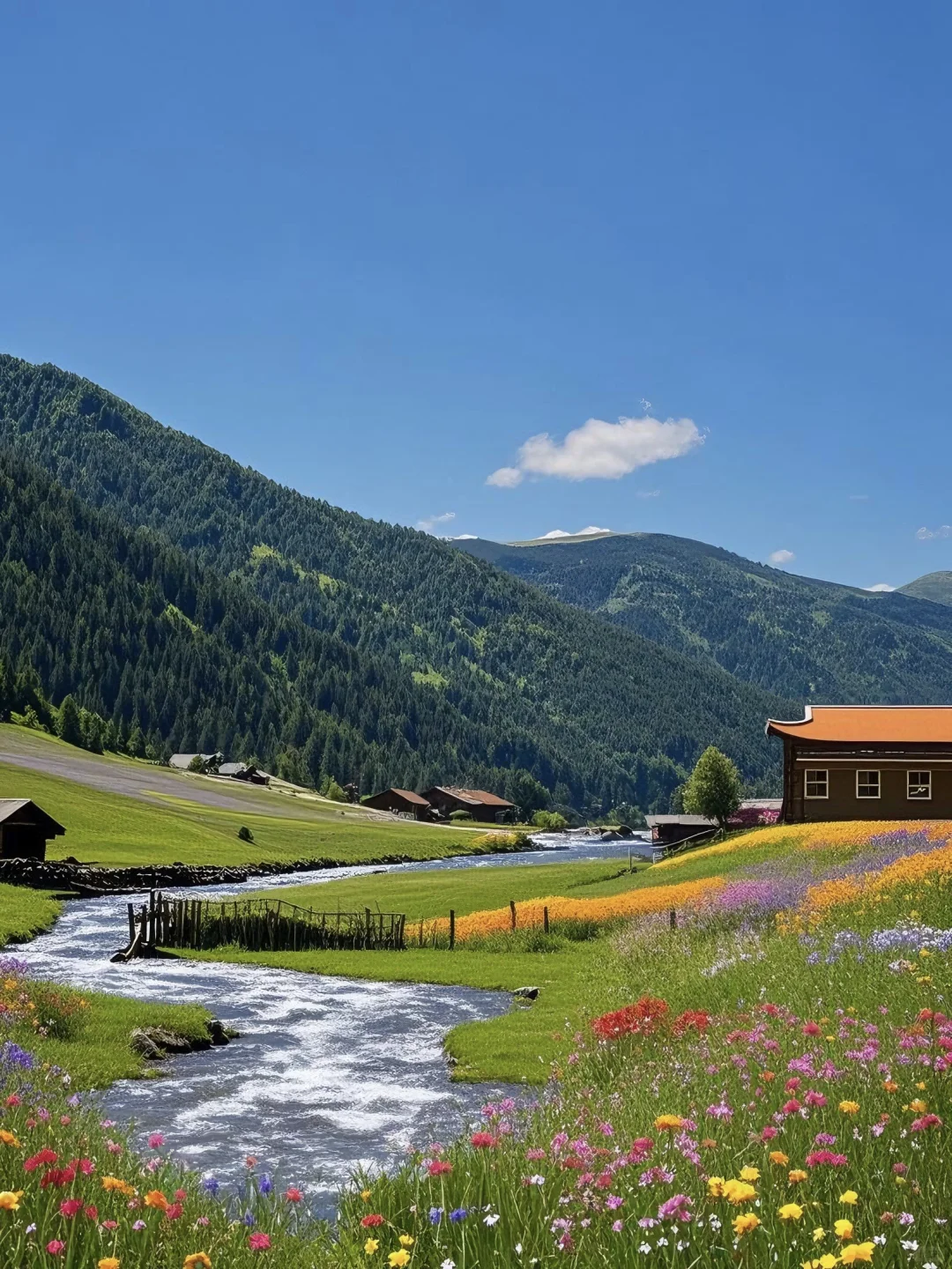 不在瑞士...7-8月的川西🏔️！！💐美到失语😭