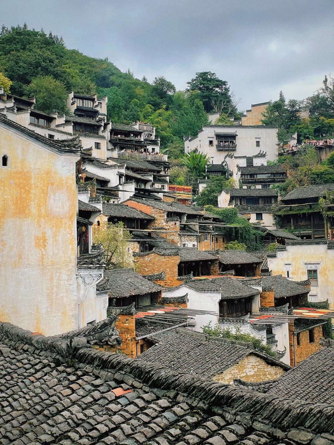 婺源实况无滤镜到底什么样