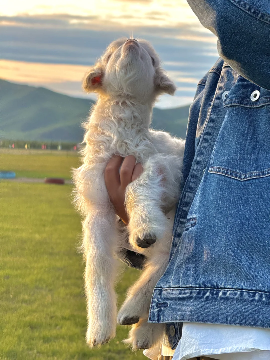 以为新疆够美了，直到我去了呼伦贝尔…