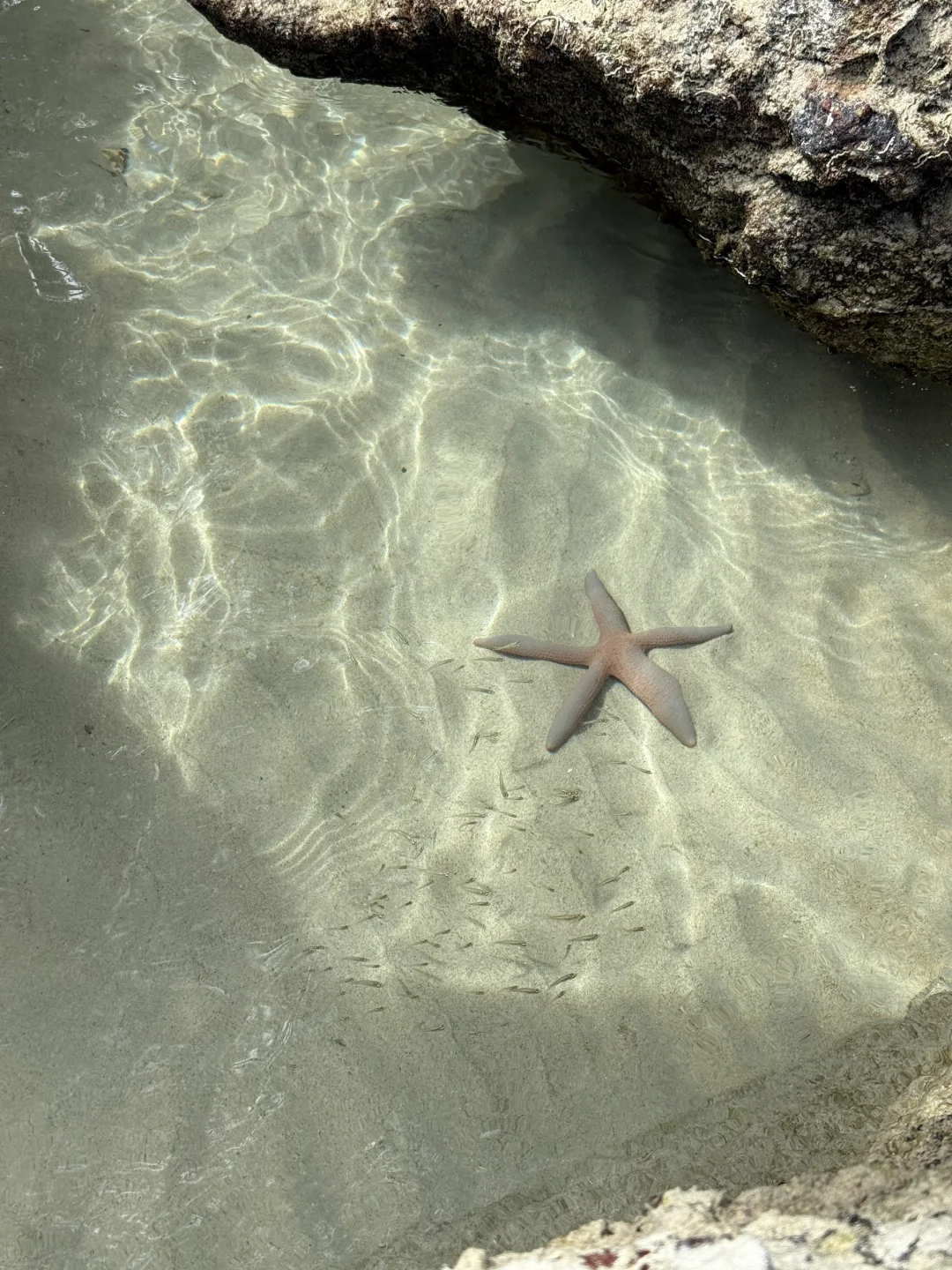 Phuket dump 🩵˚𓇼 𓂂𓈒𓏸