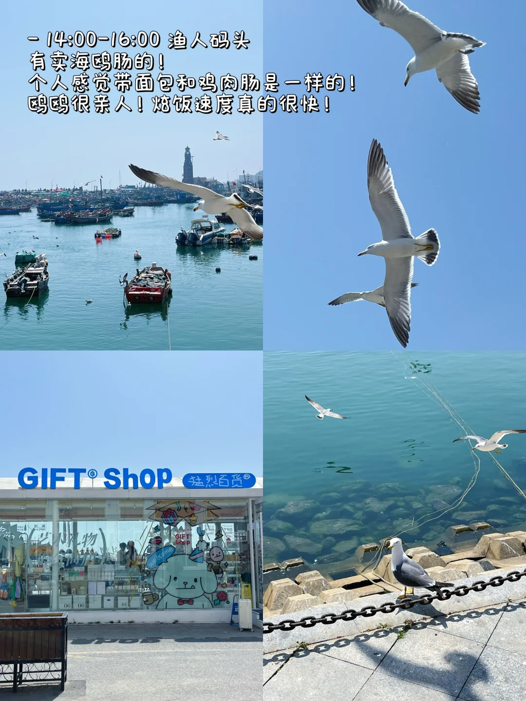 对自己做的大连5日攻略🐳满意到睡不着！