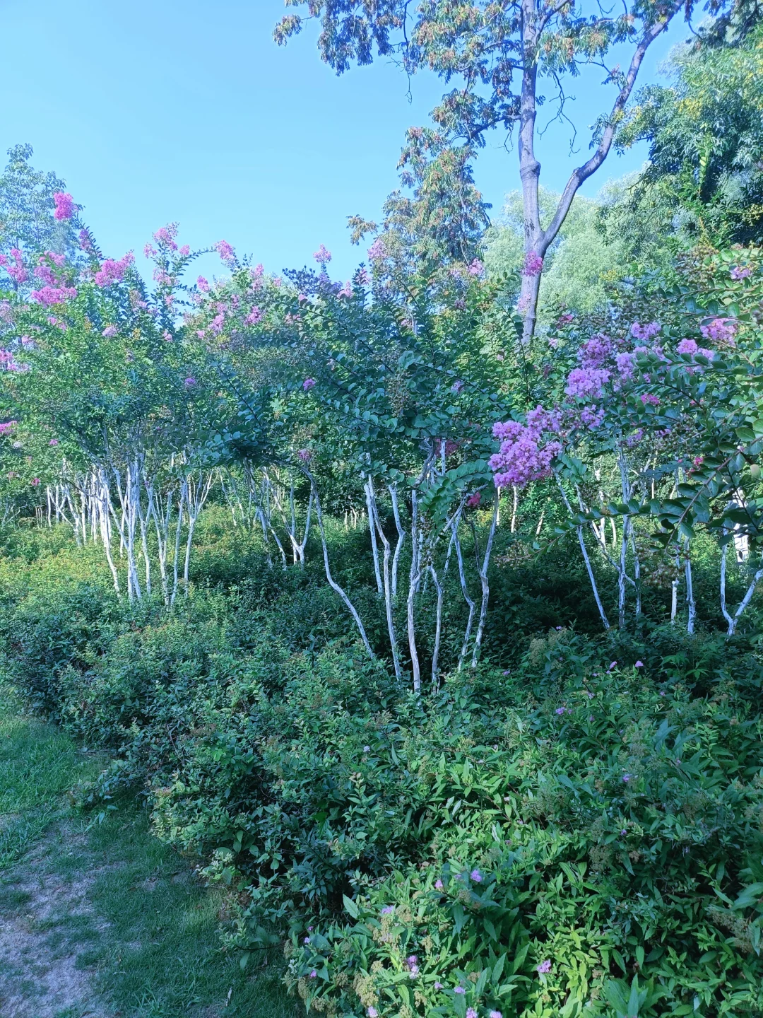 旅行方式大比拼