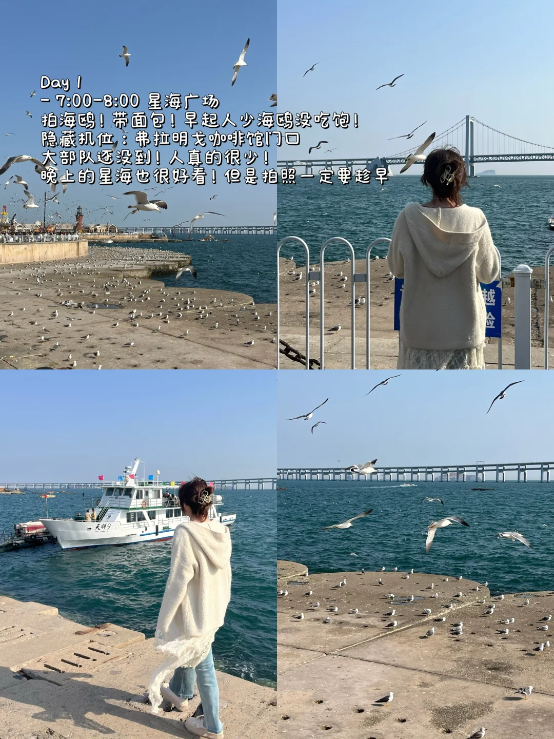 对自己做的大连5日攻略🐳满意到睡不着！