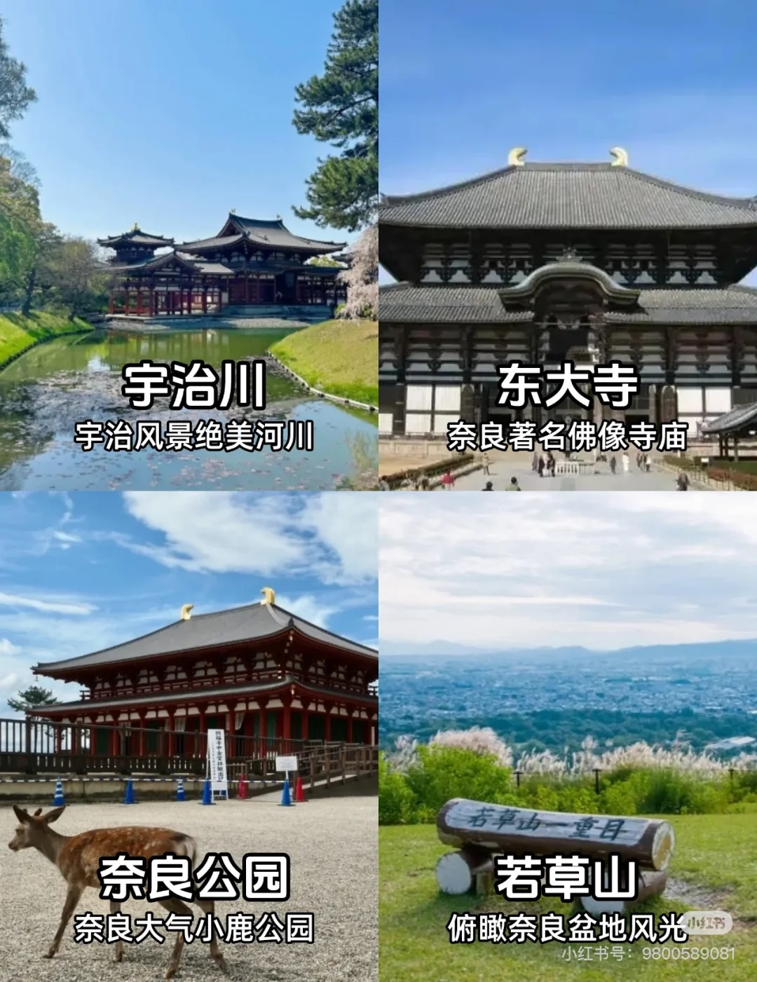 日本必去必打卡景点！