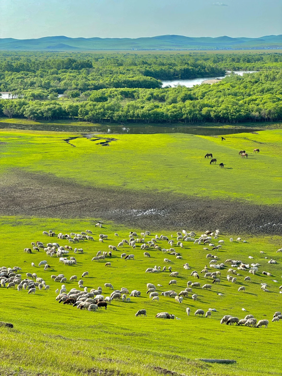 内蒙已回！坚决不删，能劝一个是一个......