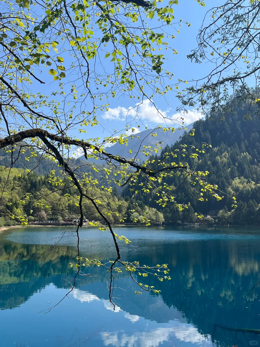 无锡-九寨沟2天攻略｜5.3体验感很好