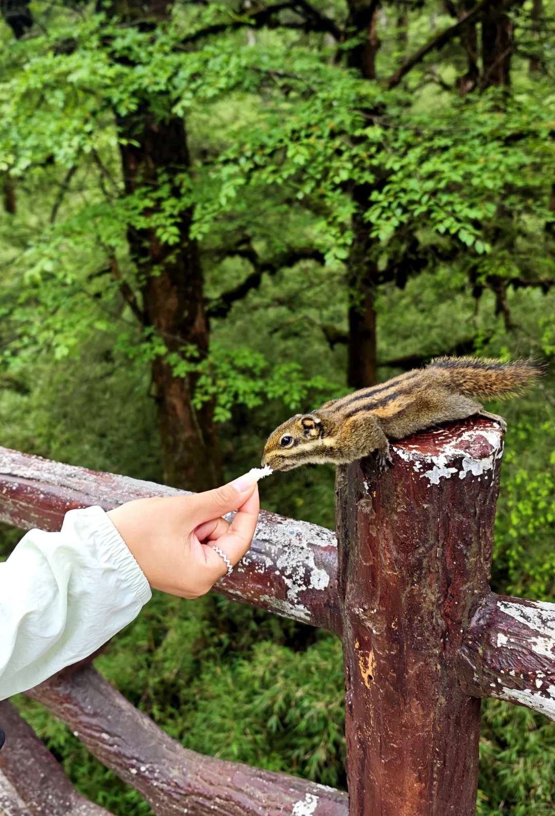 成都周边｜😃暑期免门票景区合集！