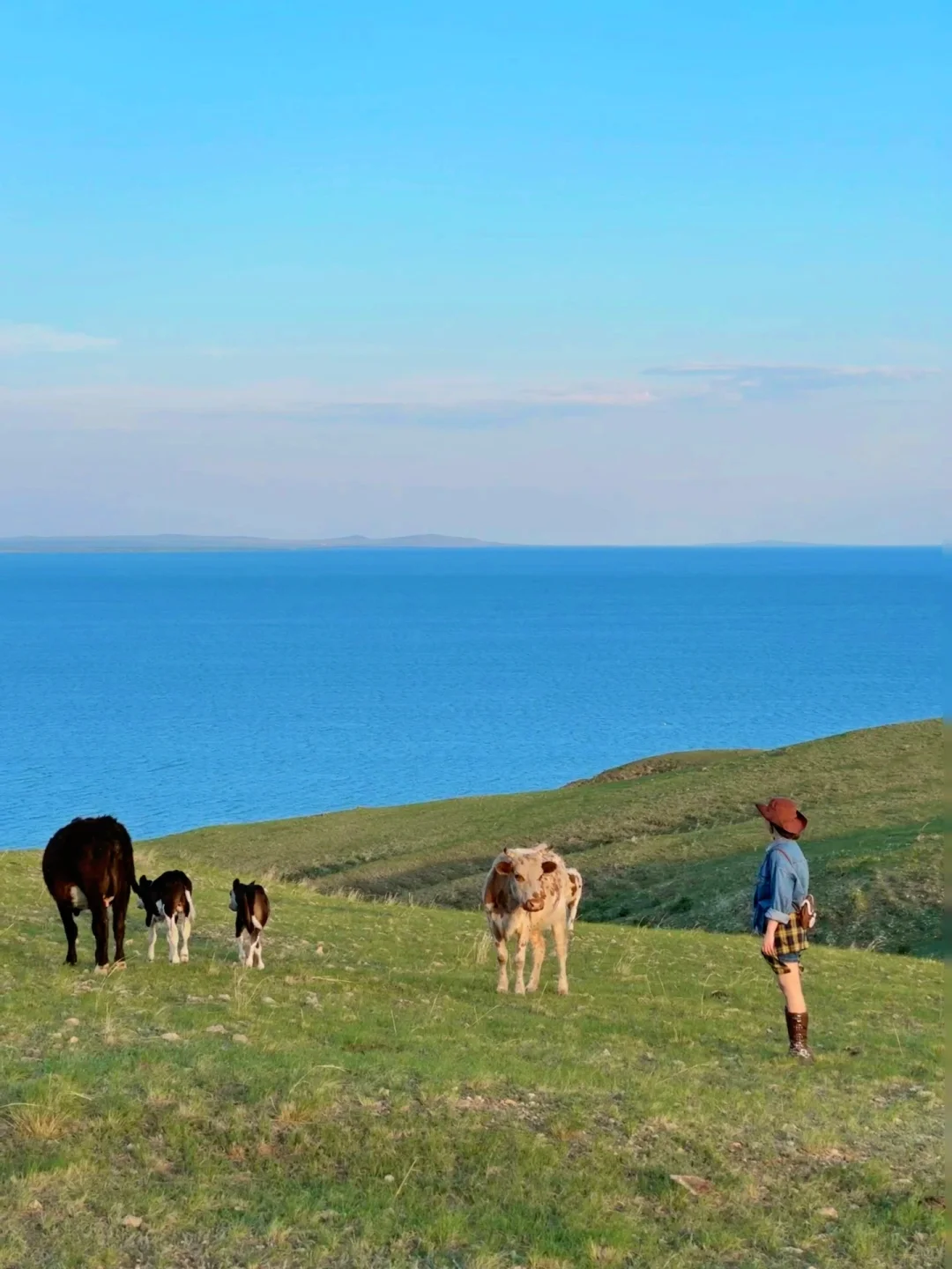 朋友圈被问疯了.不是瑞士新西兰❗在我大内蒙