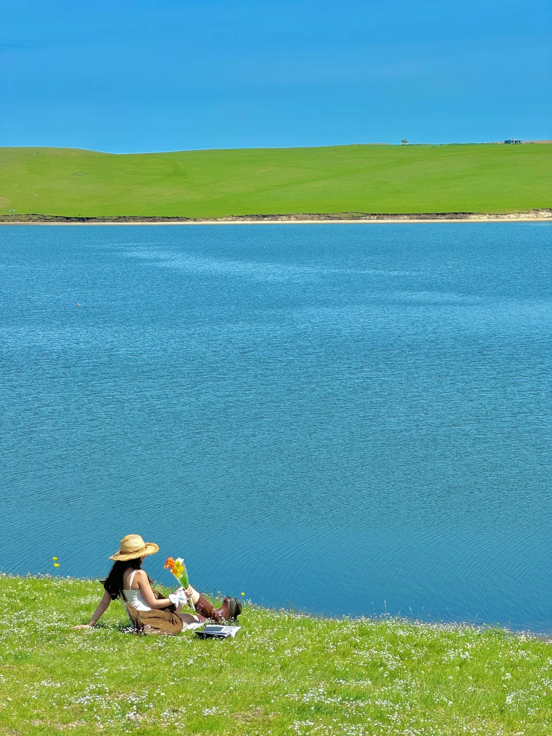 内蒙已回！坚决不删，能劝一个是一个......