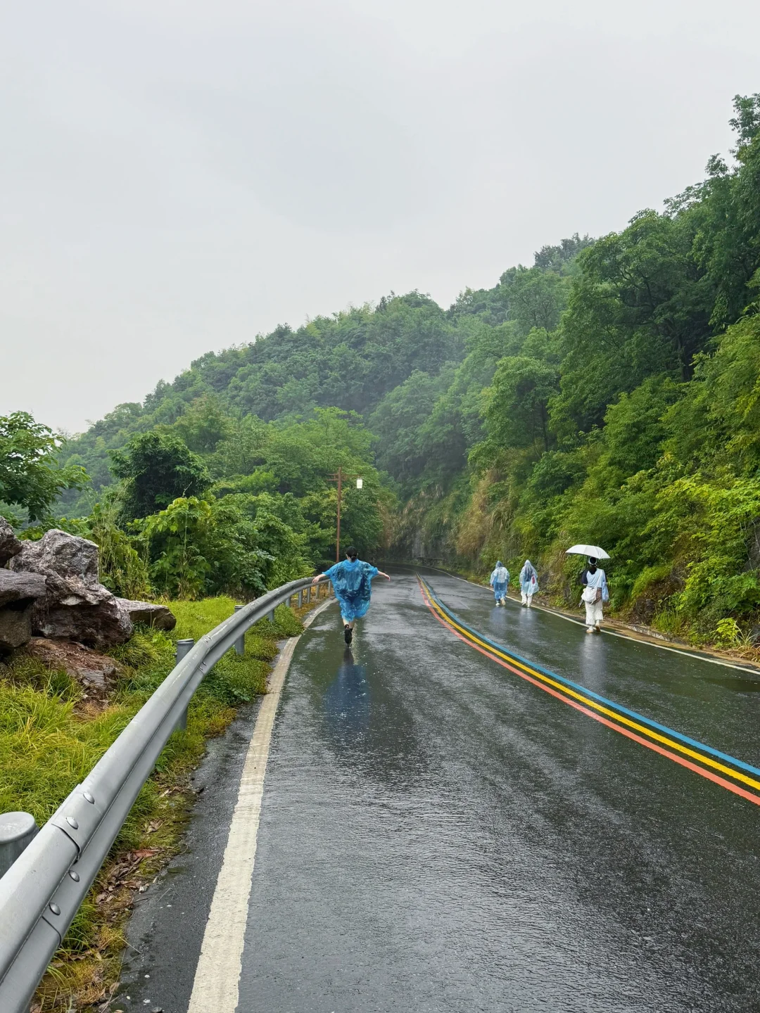 仙桥洞：看一场“人山人海”的绿野迷雾森林🌳