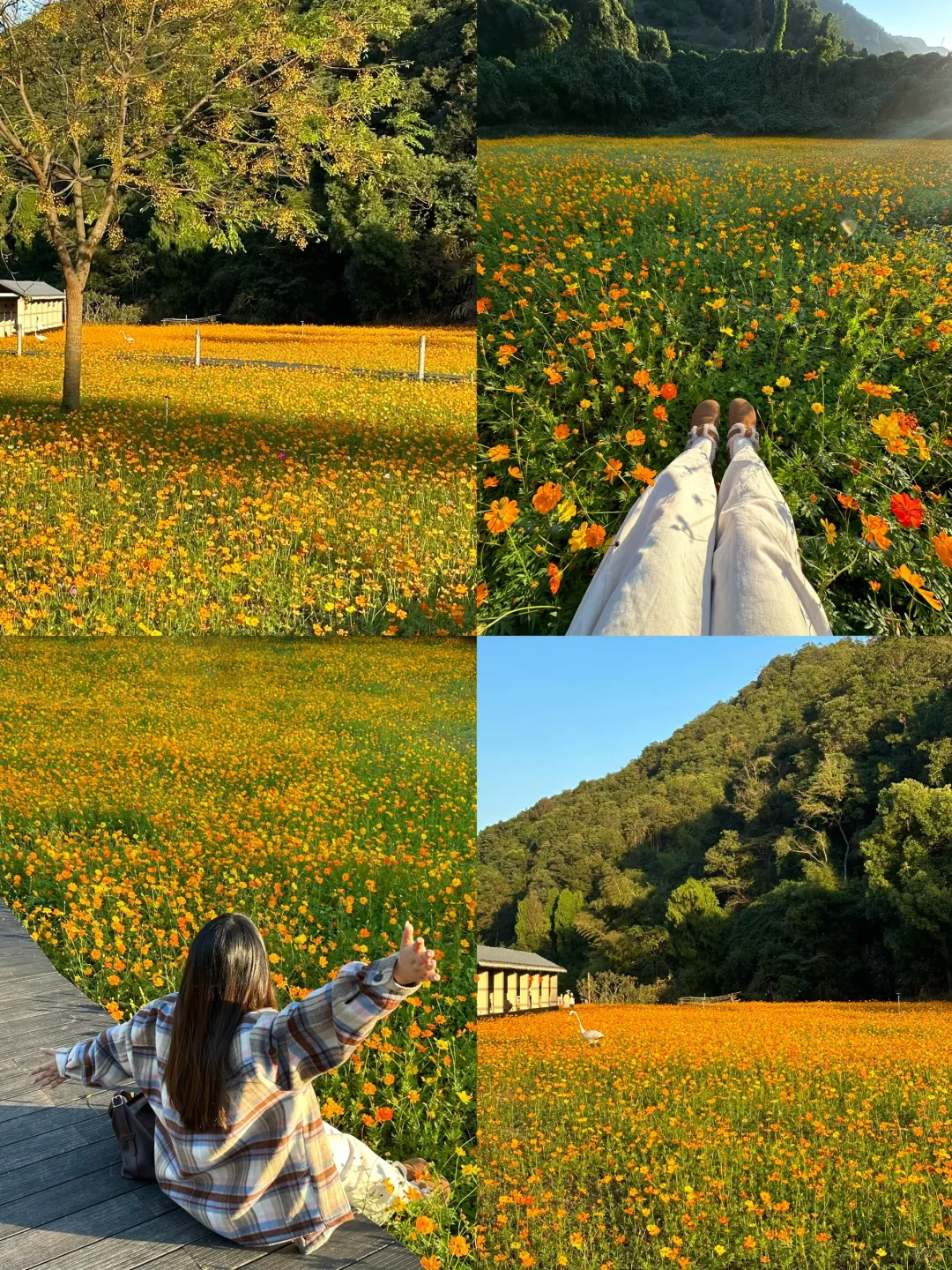 分享在温州不花钱的快乐！！1️⃣8️⃣个小众景点