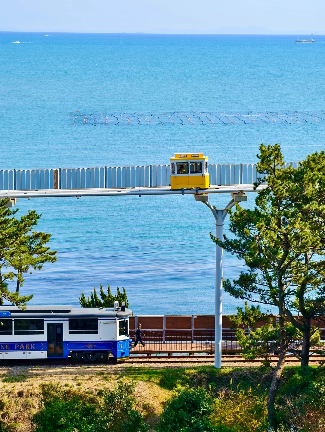 如果你是第一次来釜山,直接复制这条路线‼️