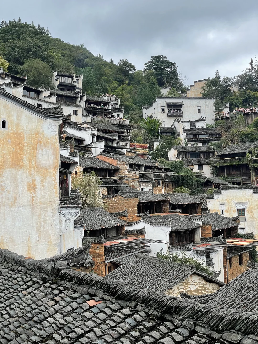 婺源实况无滤镜到底什么样