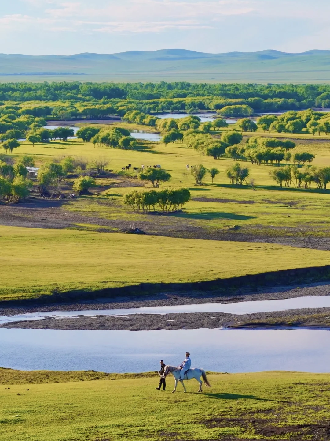 为了这18张live图!我飞到了内蒙古!值得吗?