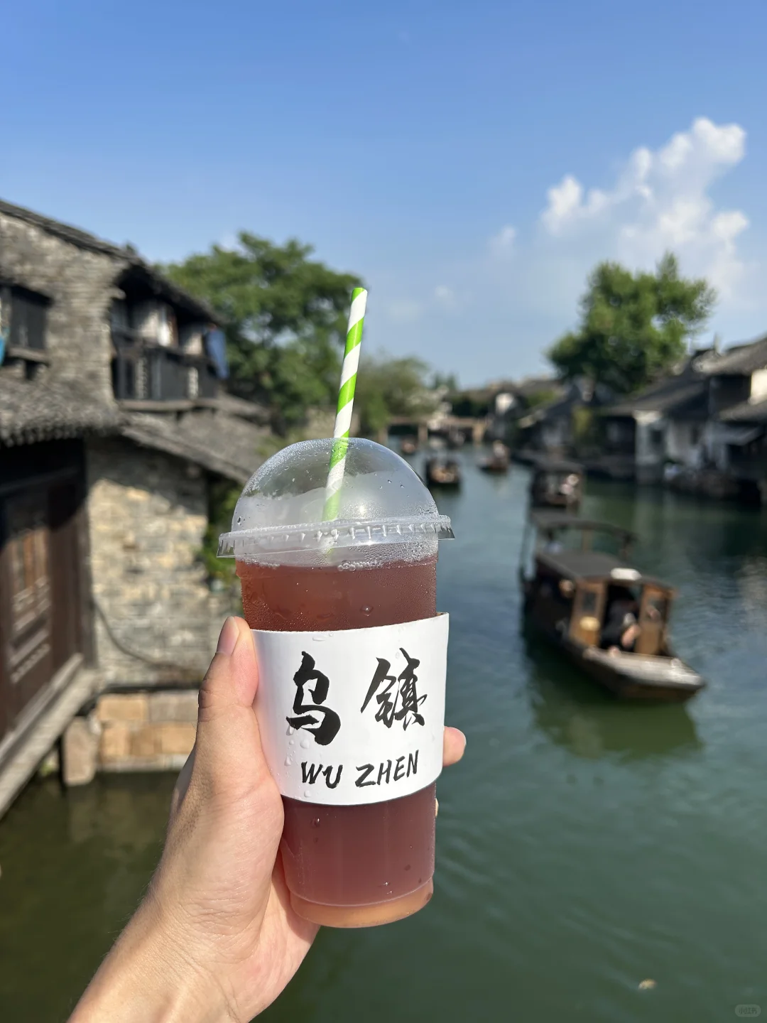 一不小心到了“真江南”———乌镇