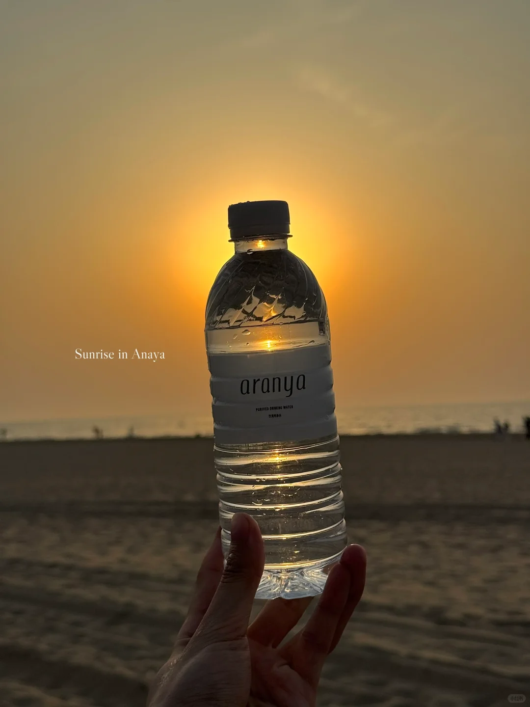 𝐴𝑟𝑎𝑛𝑦𝑎｜短暂的逃离一会生活🌊