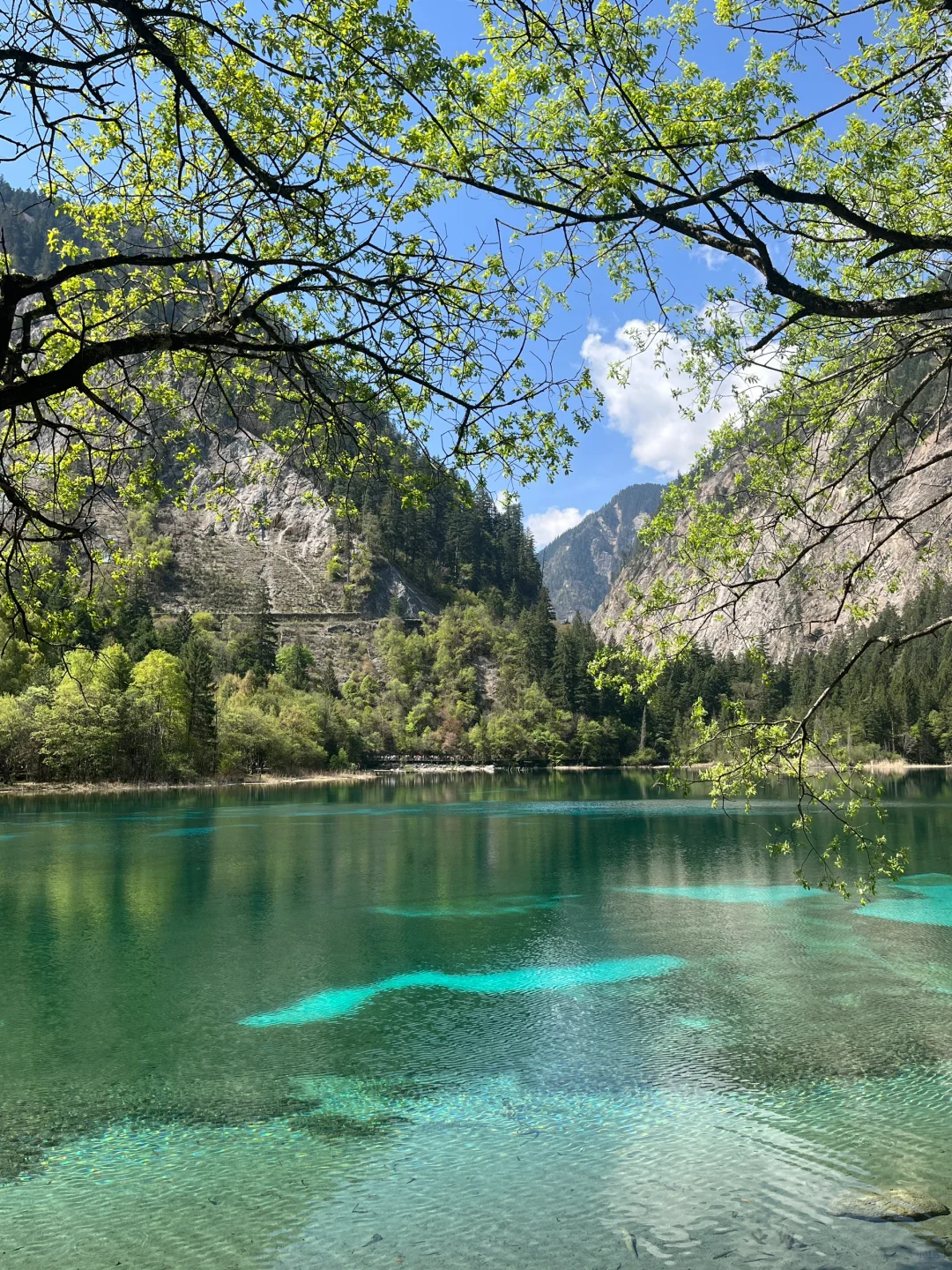 无锡-九寨沟2天攻略｜5.3体验感很好