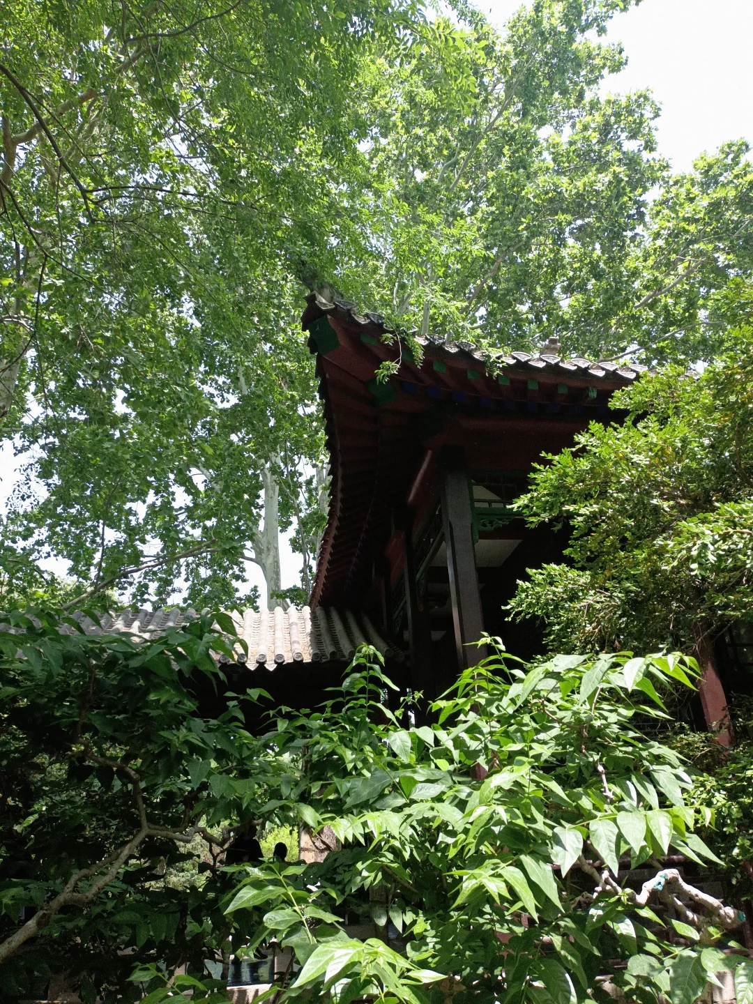 小城济南的1️⃣日游