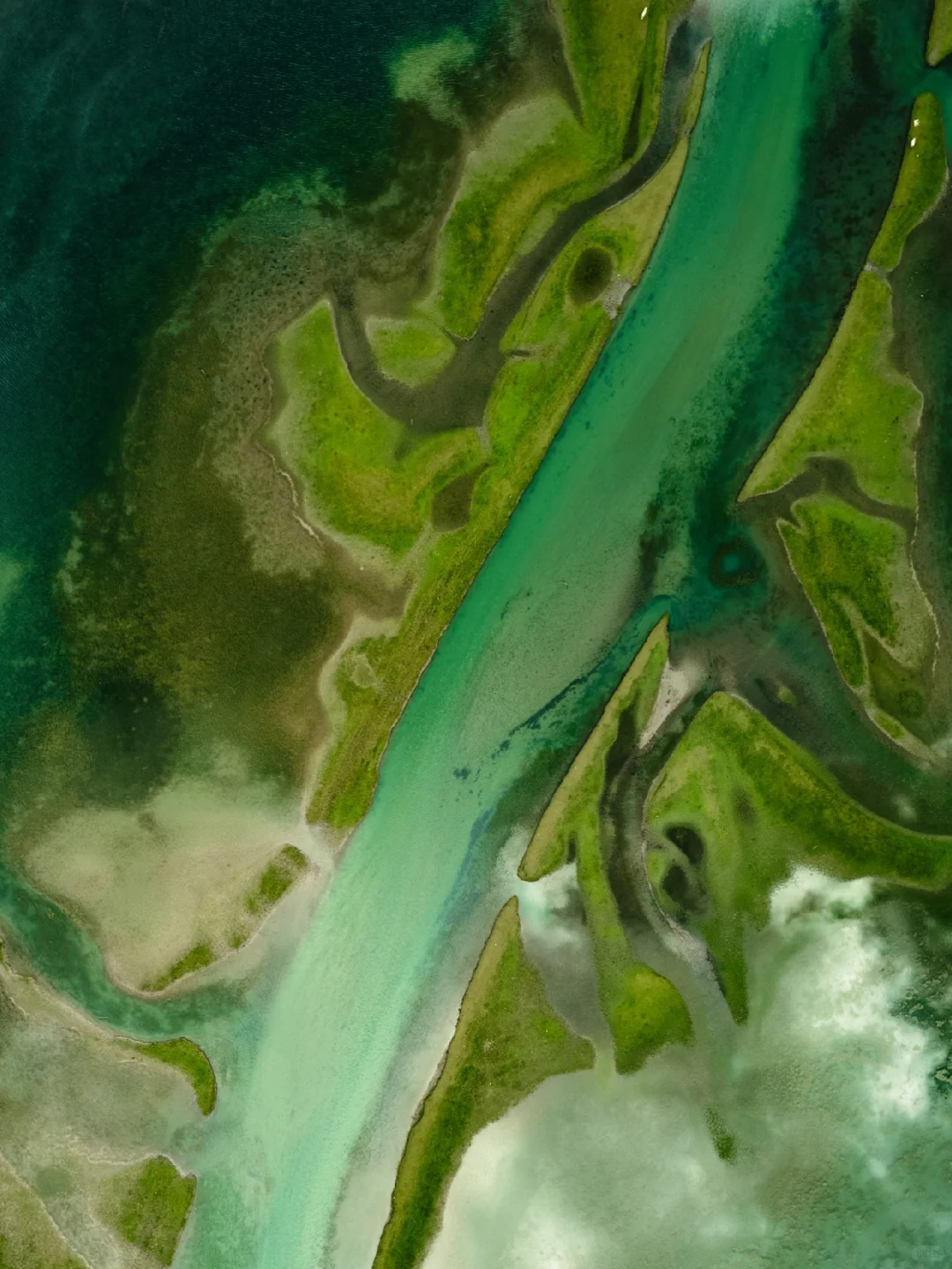 以为九寨沟够美了“直到来了这个小众🌙秘境”