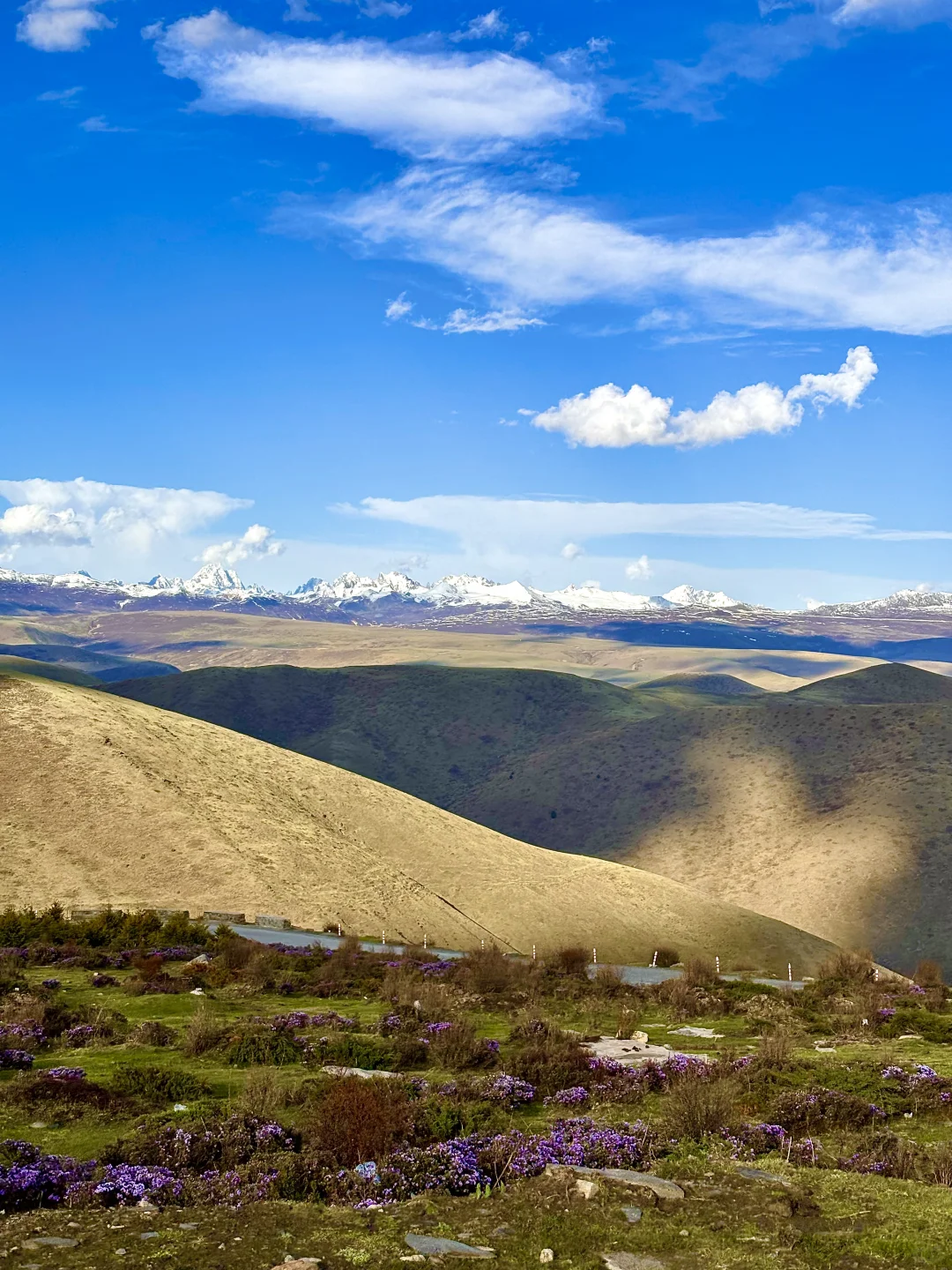 川西的夏天根本不用滤镜……美哭了😭！！附攻略