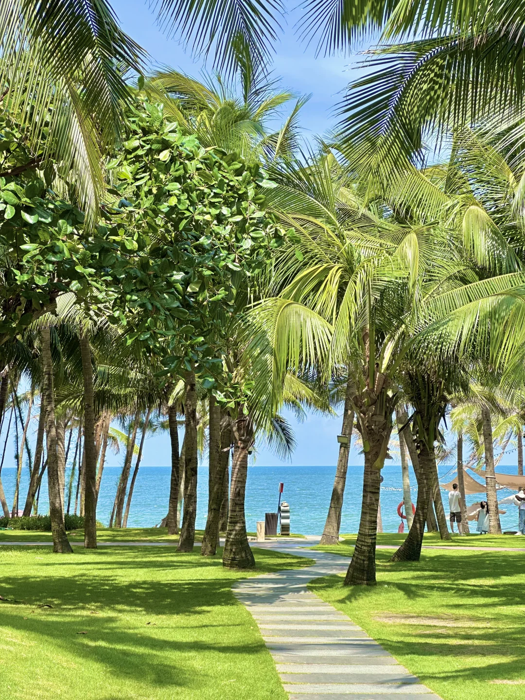 三亚真的要封神了。。。。。。。。。