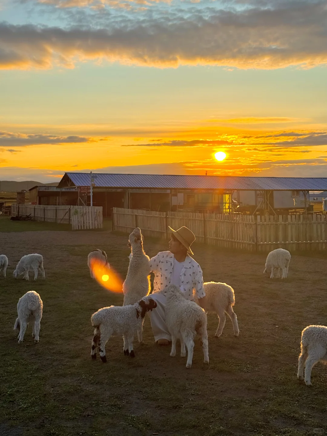 以为新疆够美了，直到我去了呼伦贝尔…