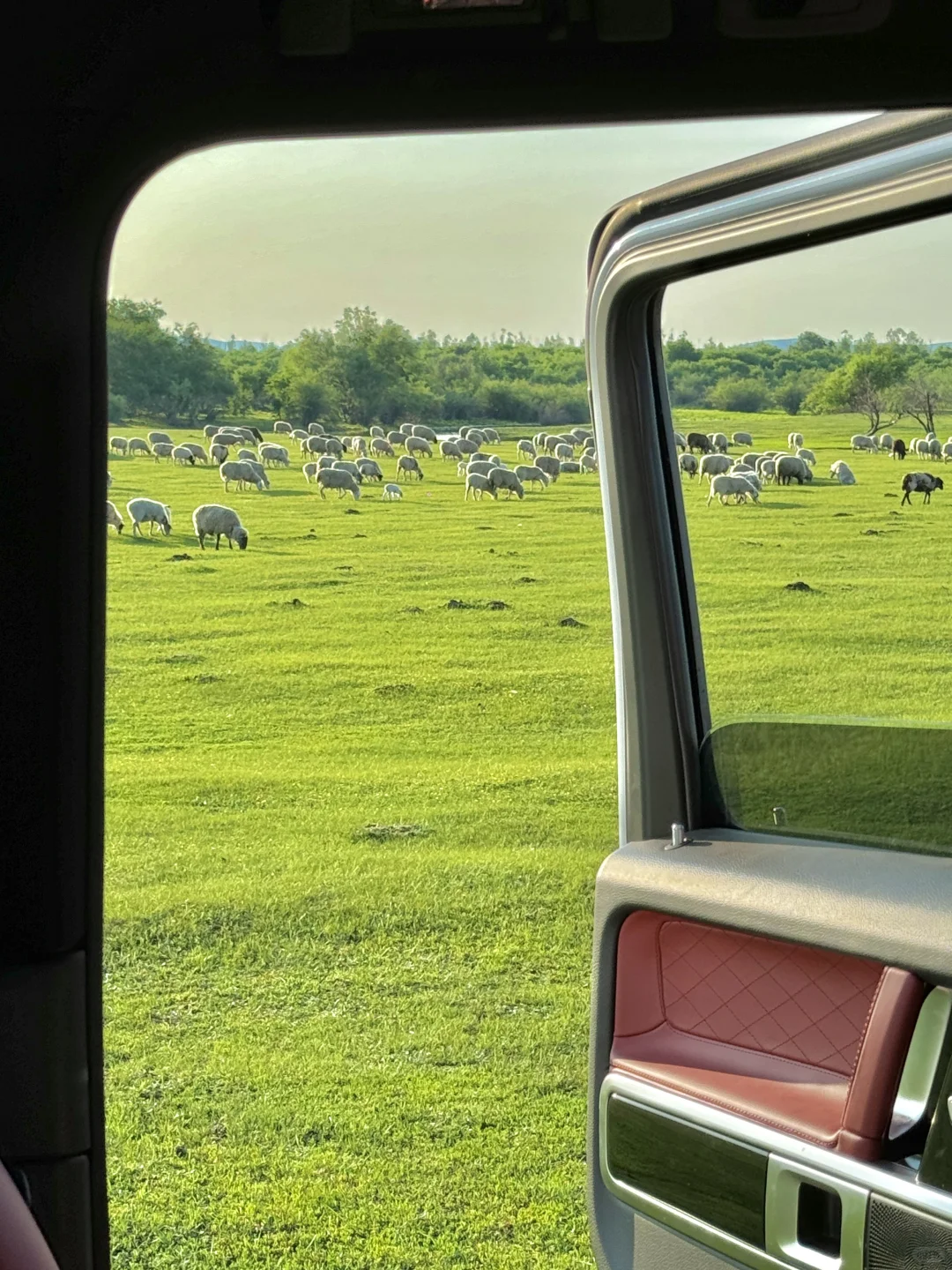 内蒙已回！坚决不删，能劝一个是一个......