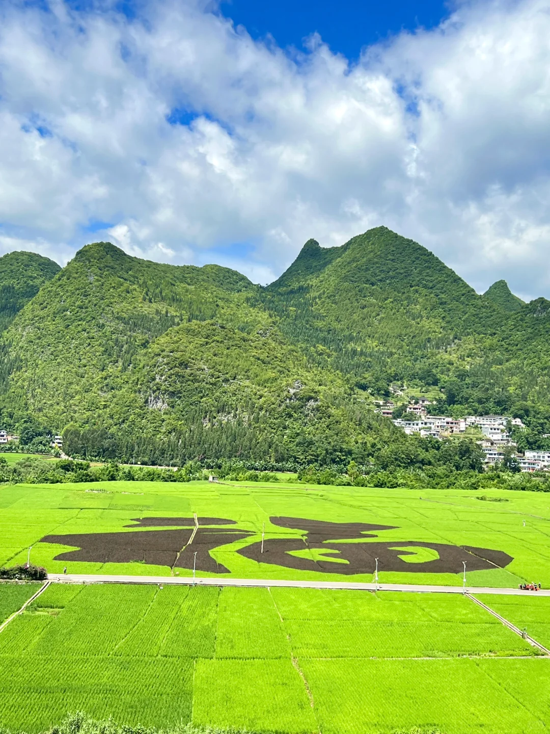 贵州这个地方…真实存在吗？太美了！