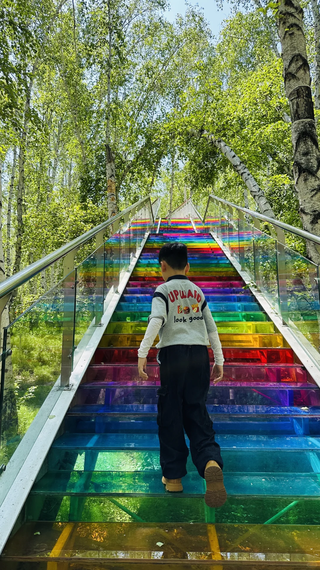 额尔古纳白桦林