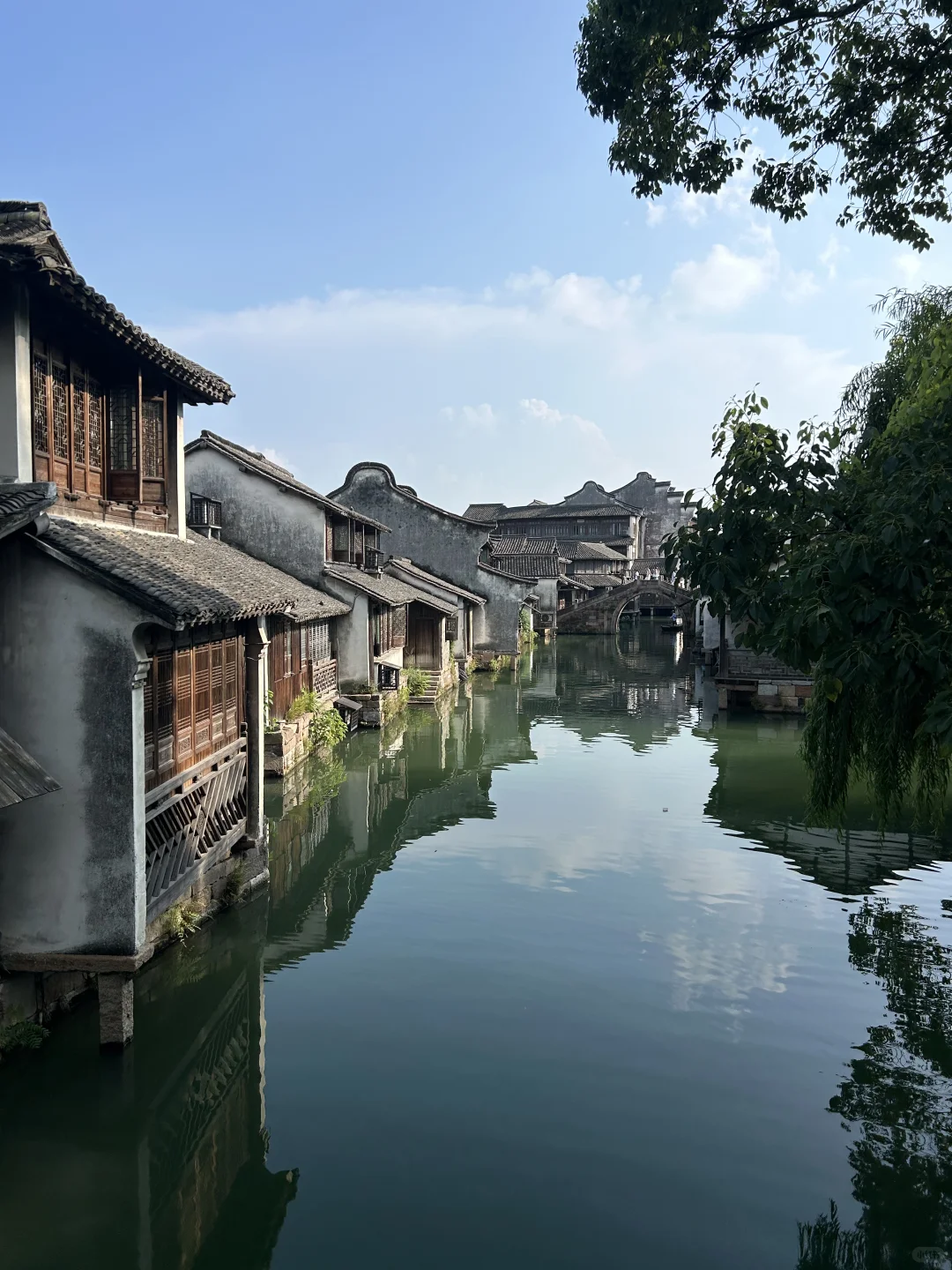 一不小心到了“真江南”———乌镇