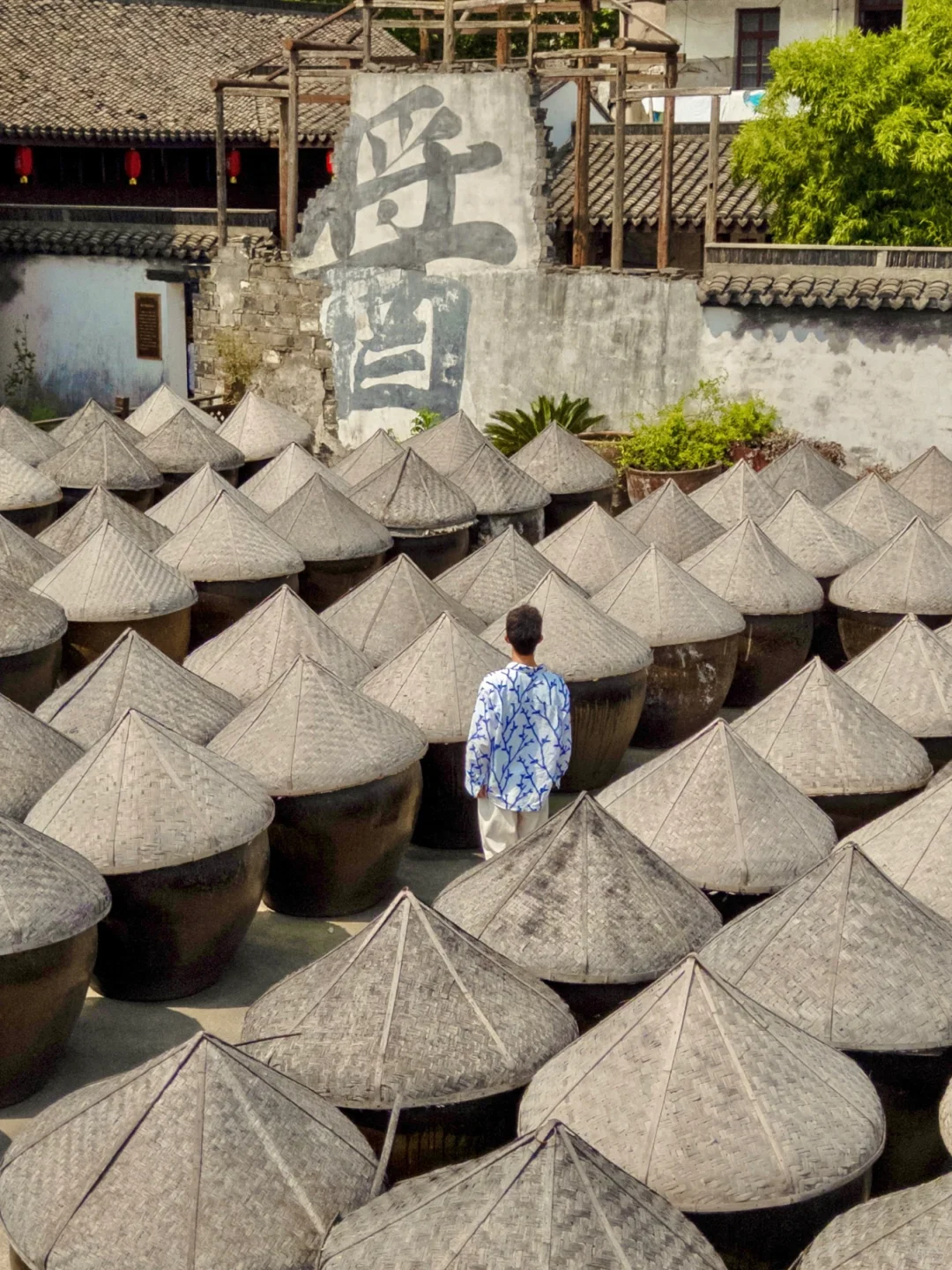 余华没骗我，这是江浙沪最治愈的海边小城