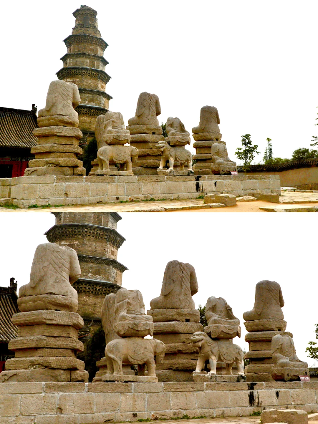 📷华夏杂志封面故事| 邯郸常乐寺的石上菩提