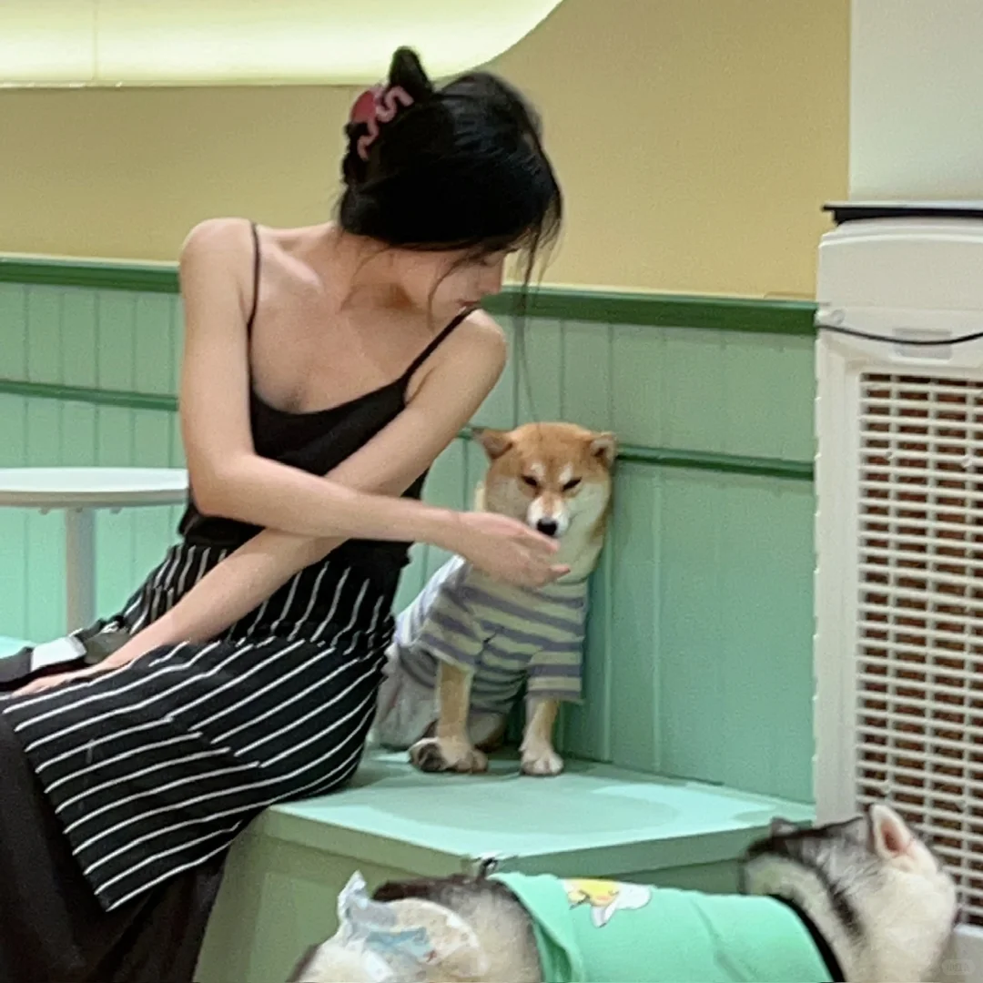 南京旅游攻略(中)