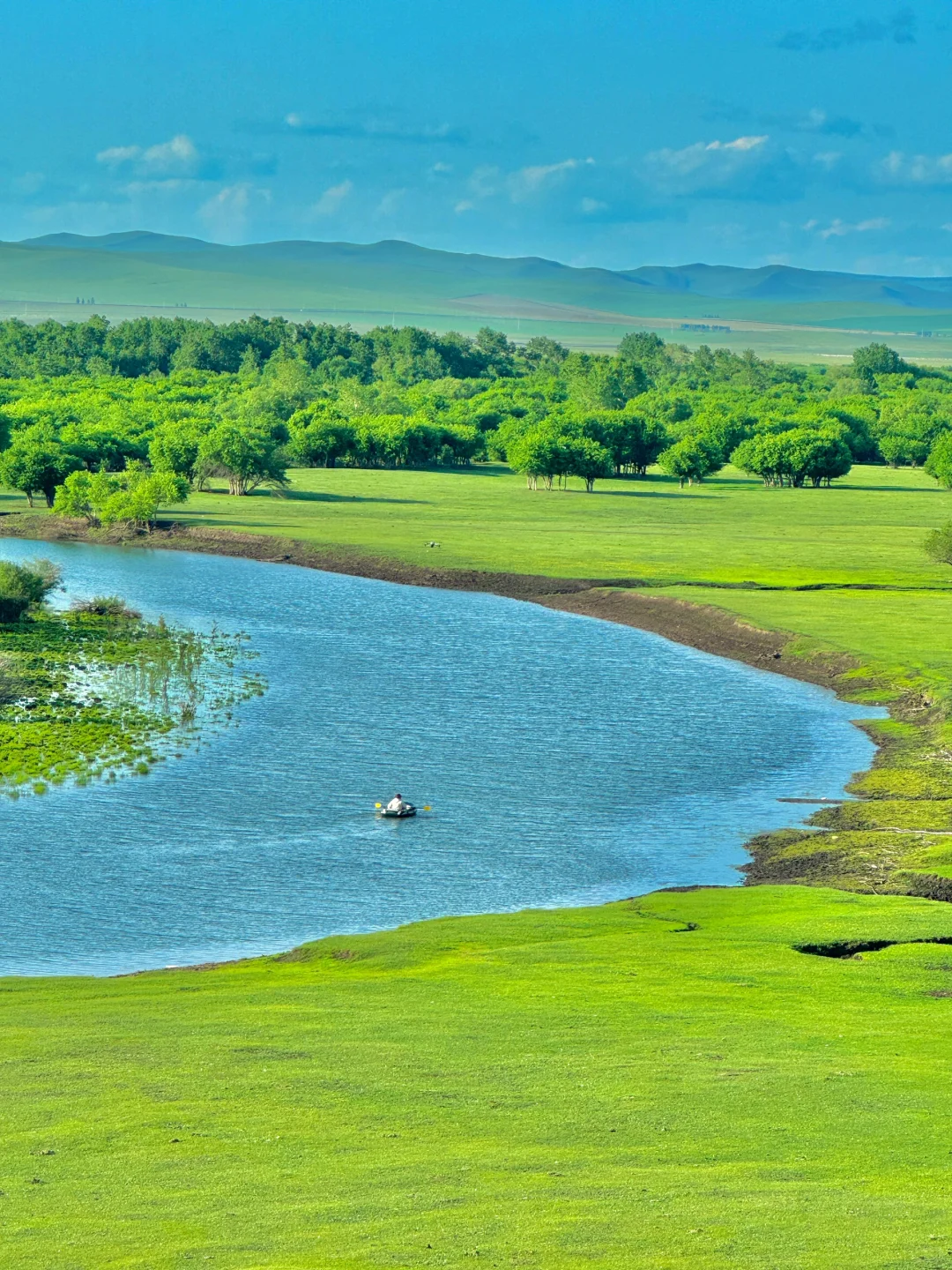 内蒙已回！坚决不删，能劝一个是一个......