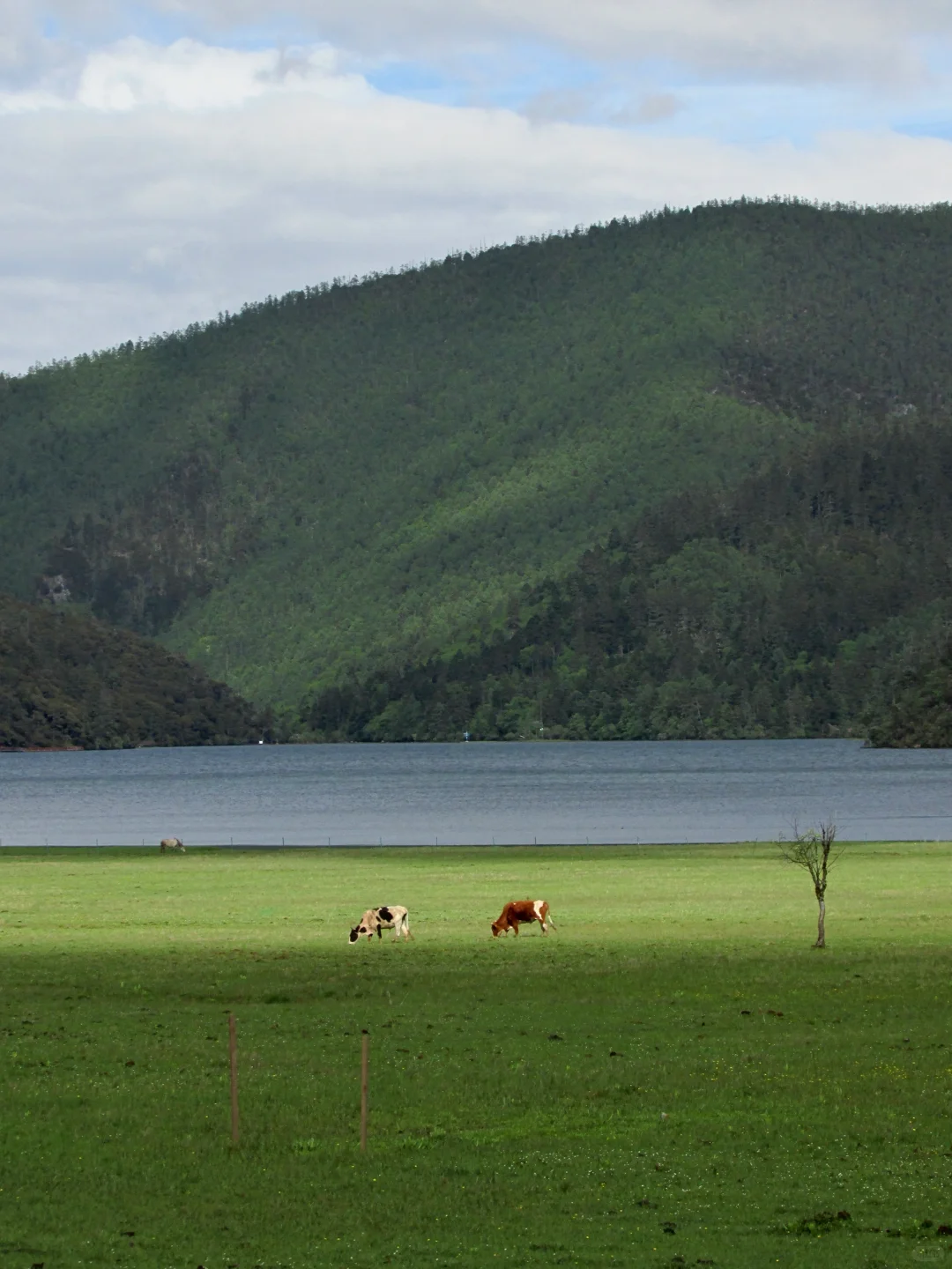 普达措｜轻松美丽，国家公园就是我的信仰