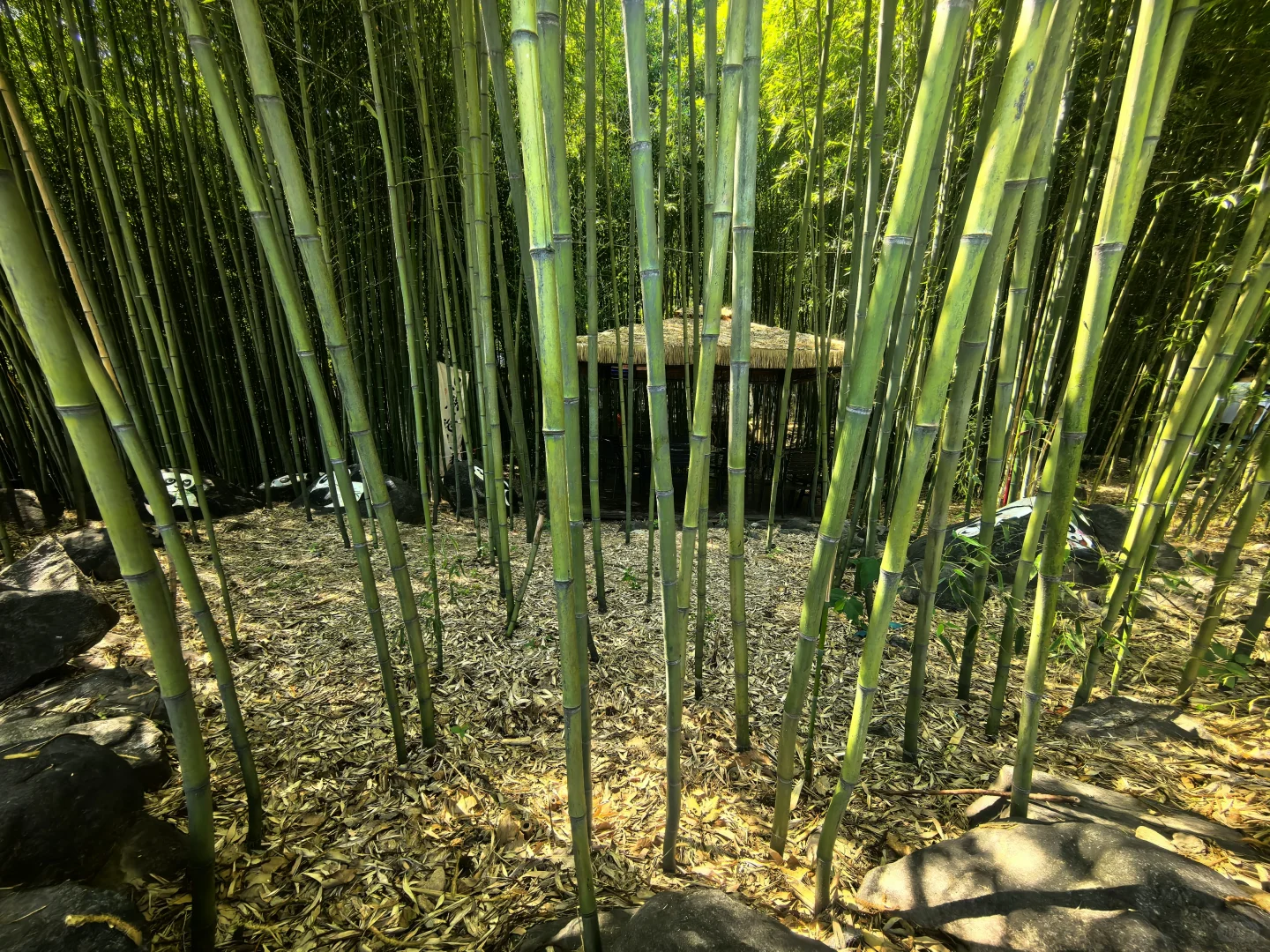 泰山脚下的石敢当小镇