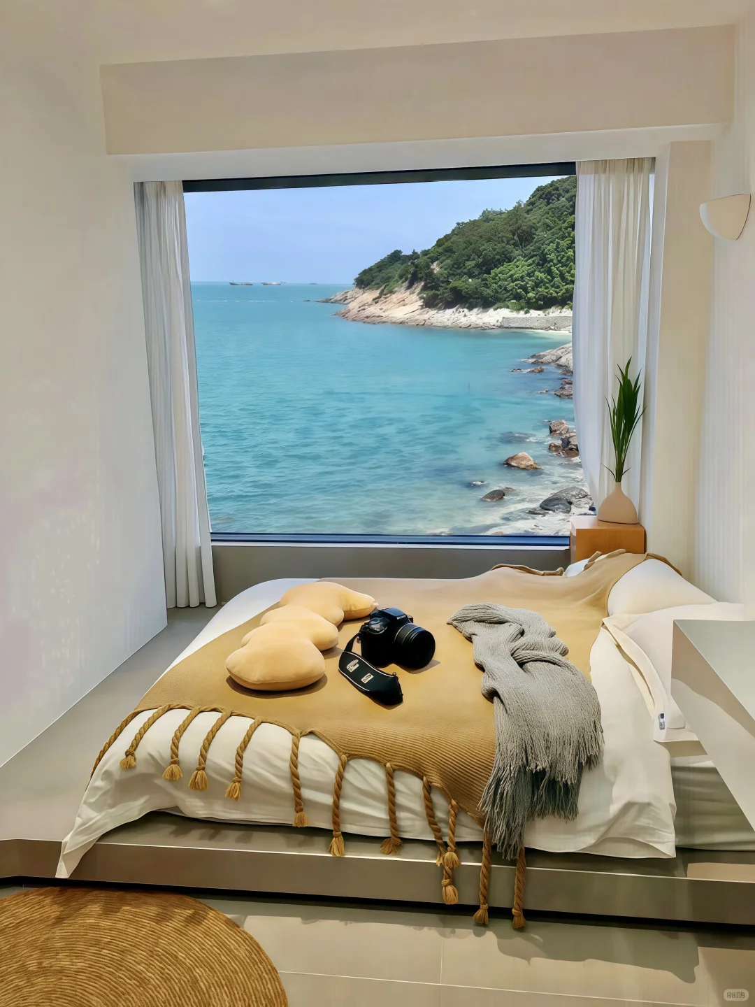 来连云港住我家吧！109💰俩人😭不想退房