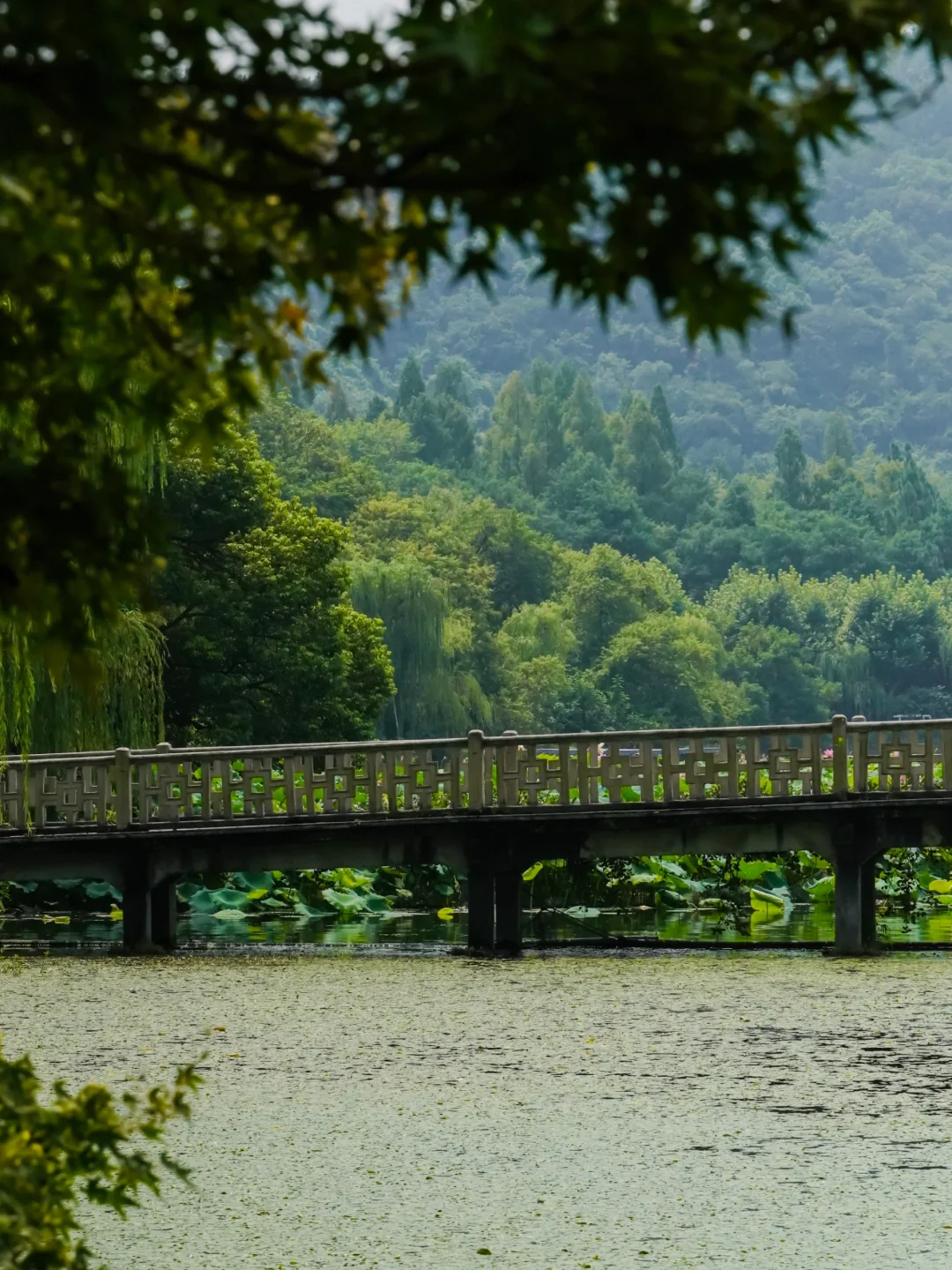 来杭州别挤西湖，灵隐寺！听我的！本地人！