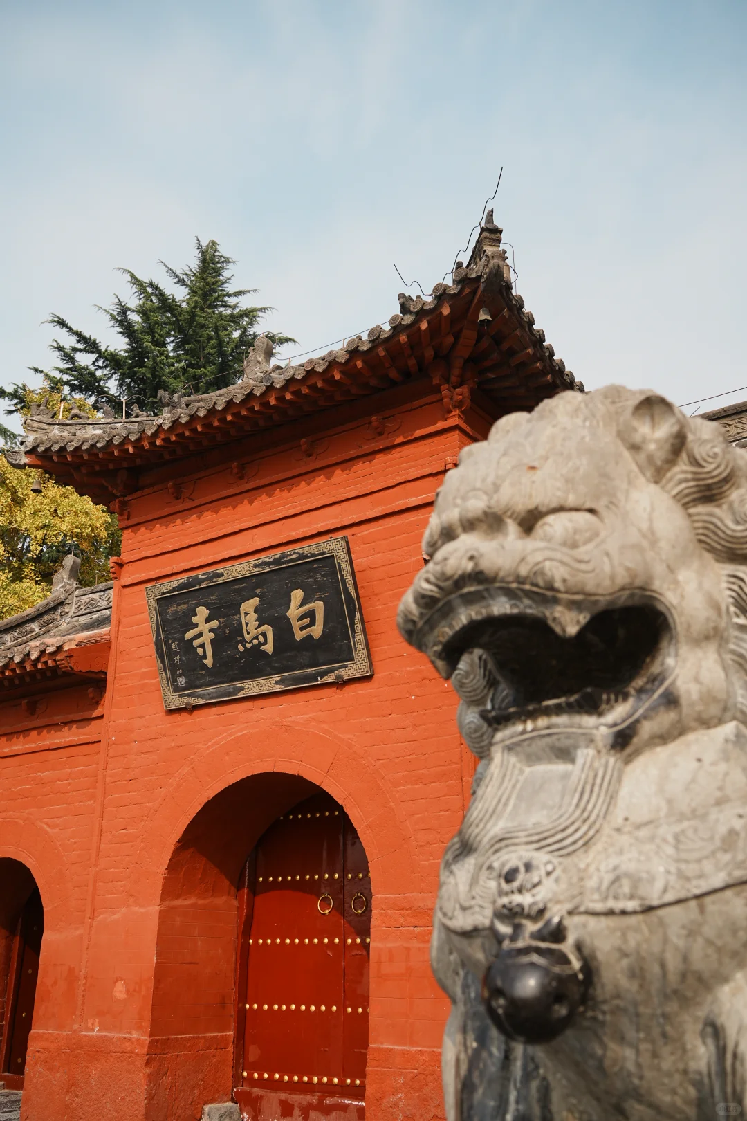 暑假带娃第一次去河南，这么玩才地道