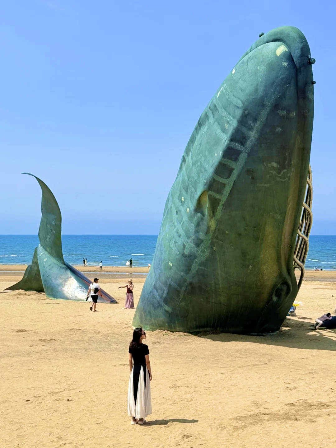 烟台旅游刚回！哭着发出18张live图😭