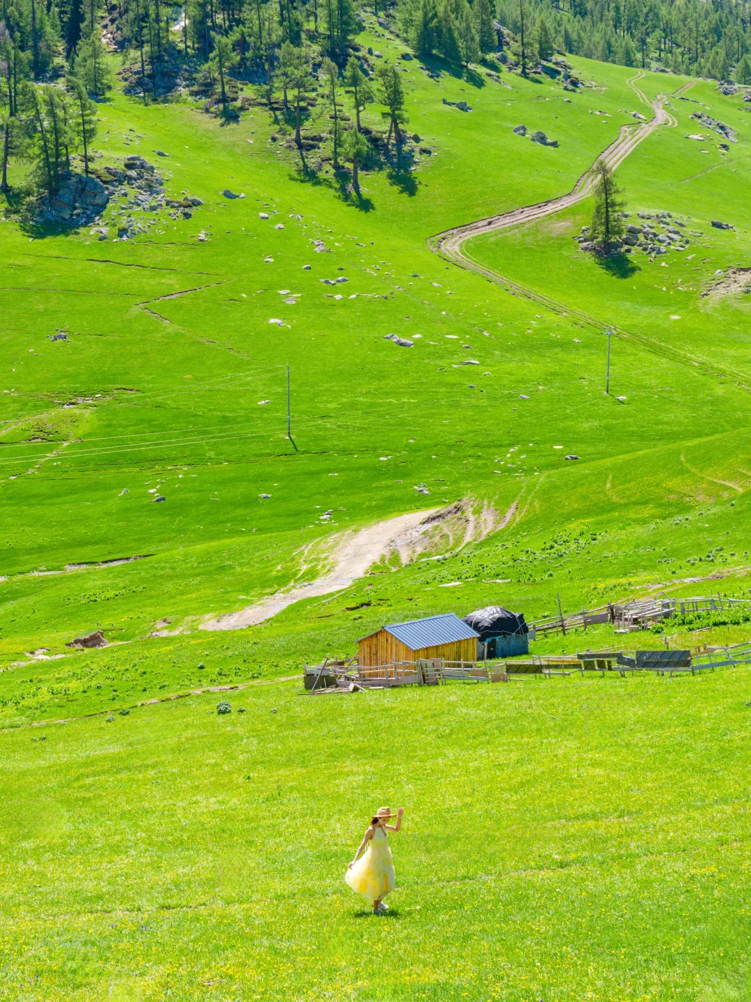总要去一次新疆，看一次梦中的阿勒泰吧！！