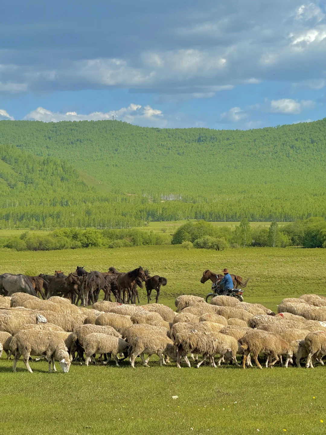 为了这18张live图!我飞到了内蒙古!值得吗?