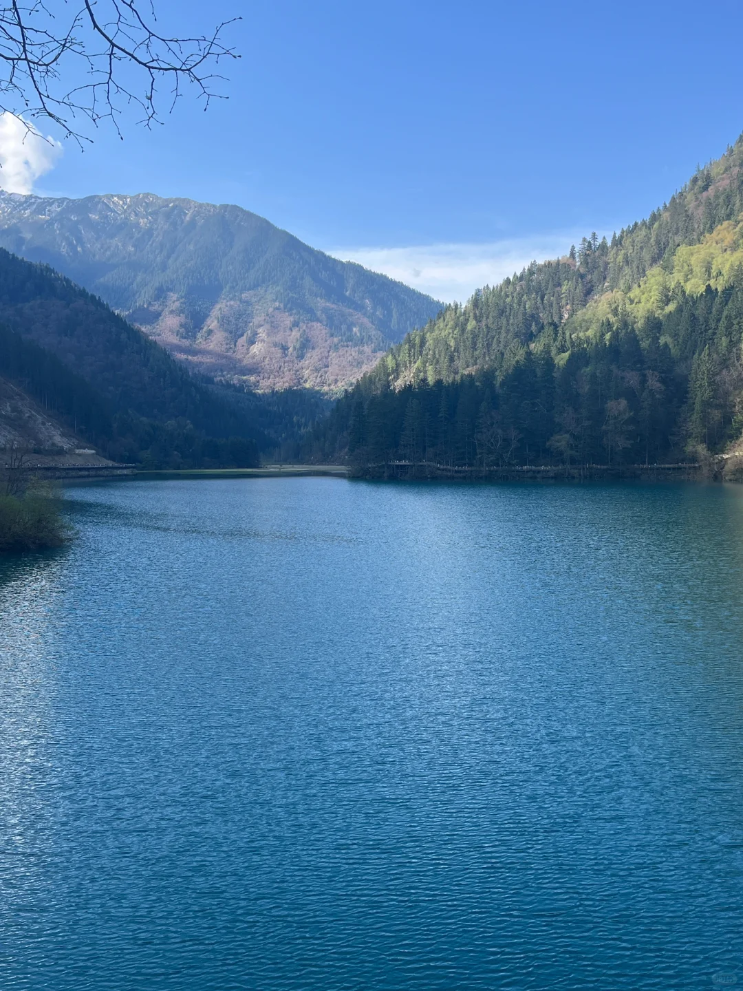 无锡-九寨沟2天攻略｜5.3体验感很好